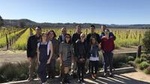 Wine Country Small-Group Tour from San Francisco with Tastings