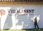 Wine Taste at Viña Viu Manent, Colchagua Valley, Chile