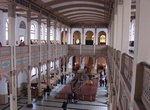 Visit Chilean National Museum of Natural History, Santiago, Chile