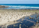 Visit Carisbrook Creek Rock Stacking, Great Ocean Road, Australia