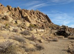 Hike Mastodon Mine Loop Trail, Joshua Tree National Park