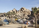 Camp at Sheep Pass Group Campground, Joshua Tree National Park
