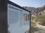 Visit Indian Cove/Rattlesnake Canyon Picnic Area, Joshua Tree National Park