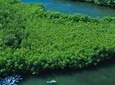 Best of Mangrove Lagoon Adventure