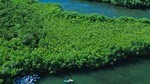 Best of Mangrove Lagoon Adventure