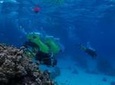Bora Bora Underwater Scooter