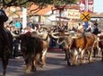 Half-Day Best of Fort Worth Historical Tour with Transportation from Dallas