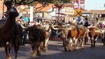 Half-Day Best of Fort Worth Historical Tour with Transportation from Dallas