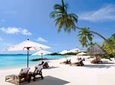 Private Nha Trang Full day City Tour