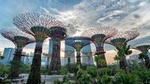 Private Singapore Night Tour with Garden by the Bay, Trishaw Ride & River Cruise
