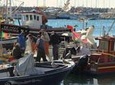 Hooked on Sesimbra