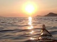 Sunset Kayaking from Lopud island