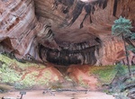 Hike Taylor Creek Trail to Double Arch Alcove, Zion National Park, Utah