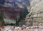 Explore Ashdown Gorge Wilderness, Utah