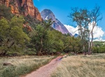 Hike The Grotto Trail, Zion National Park, Utah