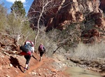 Hike La Verkin Creek Trail to the Kolob Arch, Zion National Park, Utah