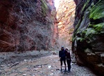 Hike La Verkin Creek Trail to Bear Trap Canyon, Zion National Park, Utah