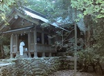 Visit Munakata Taisha Okitsu Shrine, Okinoshima Island, Japan (UNESCO site)