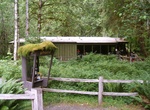 Visit Hoh Rain Forest Visitor Center, Olympic National Park, Washington