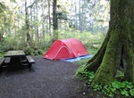Camp at Mora Campground, Olympic National Park, Washington