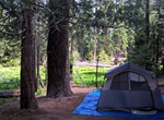 Camp at Azalea Campground, Kings Canyon National, California