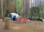 Camp at Atwell Mill Campground, Sequoia National Park, California