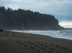Hike to Third Beach, Olympic National Park, Washington