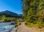 Hike Hoh River Trail, Olympic National Park, Washington