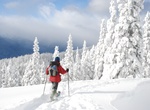 Snowshoe or Cross Country Ski Hurricane Ridge, Olympic National Park, Washington