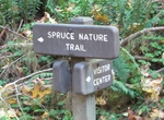 Hike Spruce Nature Trail, Olympic National Park, Washington
