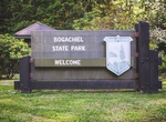 Explore Bogachiel State Park, Washington