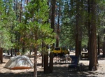 Camp at Moraine Campground, Kings Canyon National Park, California