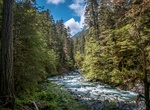 Hike North Fork Skokomish River Trail, Olympic National Park, Washington