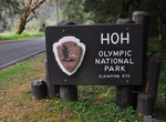Visit Hoh Rain Forest Ranger Station, Olympic National Park, Washington