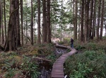 Hike Cape Flattery Trail, Washington