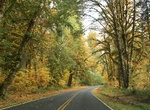 Drive Hoh Valley Drive, Olympic National Park, Washington