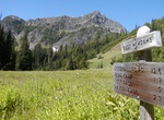Hike Main Fork Dosewallips to Hayden Pass, Olympic National Park, Washington