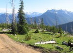 Camp at Deer Park Campground, Olympic National Park, Washington