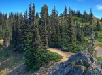 Hike Rain Shadow Loop Trail, Olympic National Park, Washington