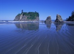 Hike to Second Beach, Olympic National Park, Washington