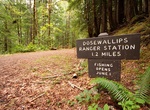 Camp at Dosewallips Campground, Olympic National Park, Washington
