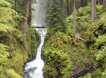 Hike Sol Duc Falls Trail, Olympic National Park, Washington