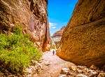 Hike Capitol Gorge Pioneer Trail, Capitol Reef National Park, Utah