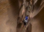 Canyoneer Cottonwood Wash Slot Canyon, Capitol Reef National Park, Utah