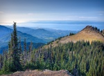 Visit Blue Mountain Viewpoint, Olympic National Park, Washington