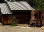 Relax at Big Stump Picnic Area, Kings Canyon National Park, California