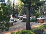 Stay at Grant Grove Cabins, Kings Canyon National Park, California