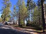 Camp at Gold Country Campground Resort, Pine Grove, California