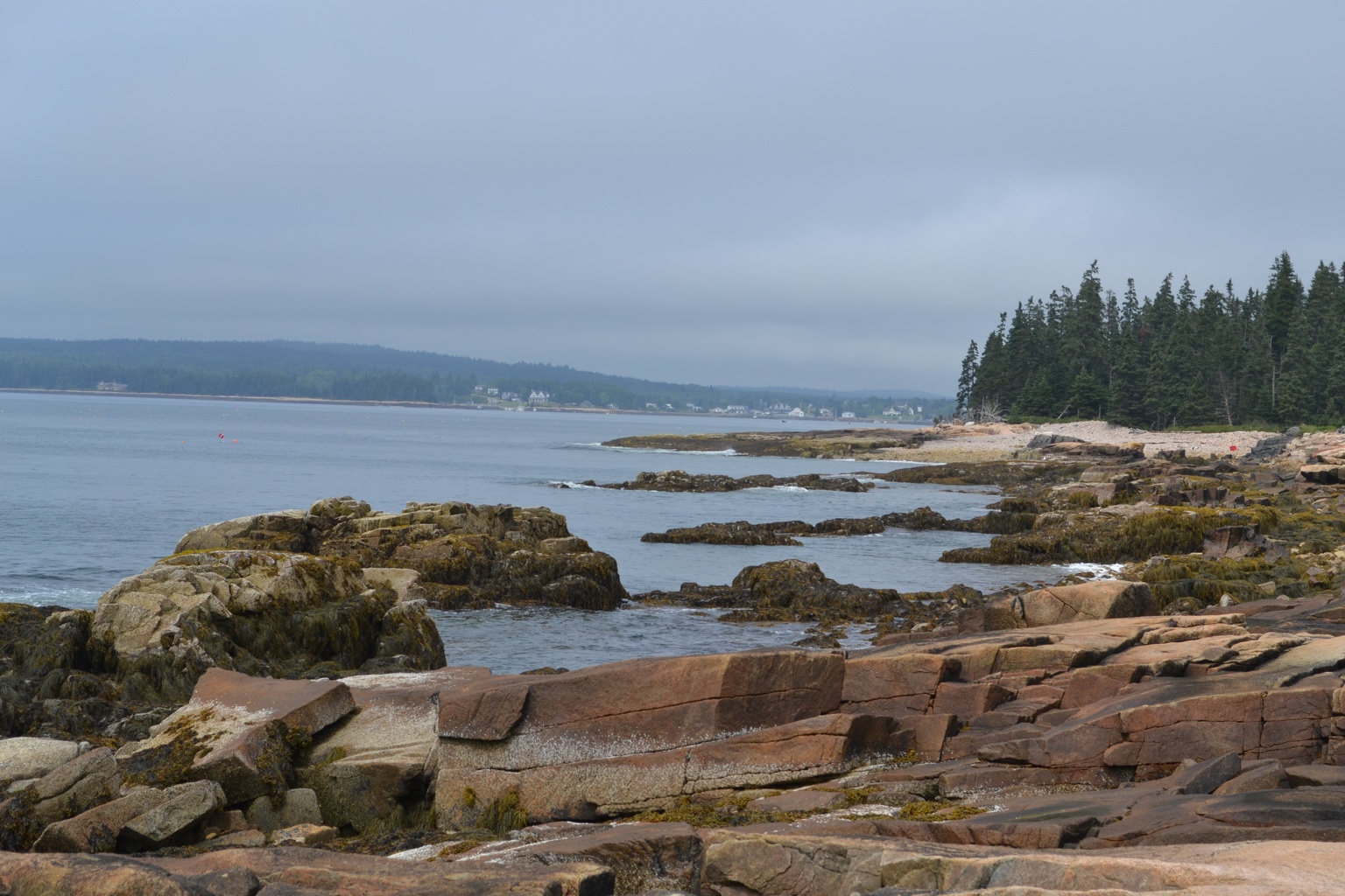 Schoodic Peninsula