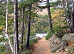 Hike Deer Brook Trail via Jordan Pond Path, Acadia National Park, Maine
